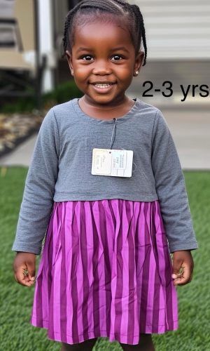 Plum Princess Casual Dress Age: 2-3 Years