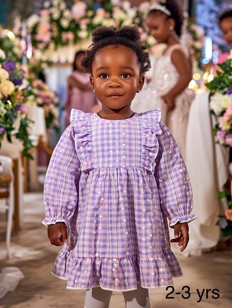 Lavender Check Ruffle Party Dress – Toddler Girls Age: 2-3 Years