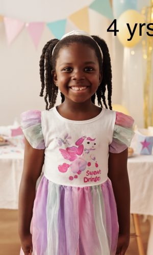 Pastel Winged Animal Party Dress Age: 4 Years